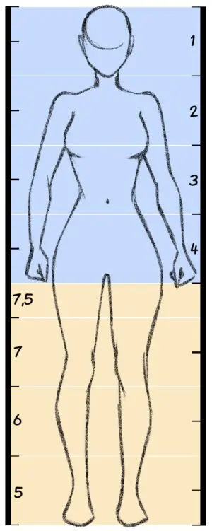 Anatomie du corps humain et dessin